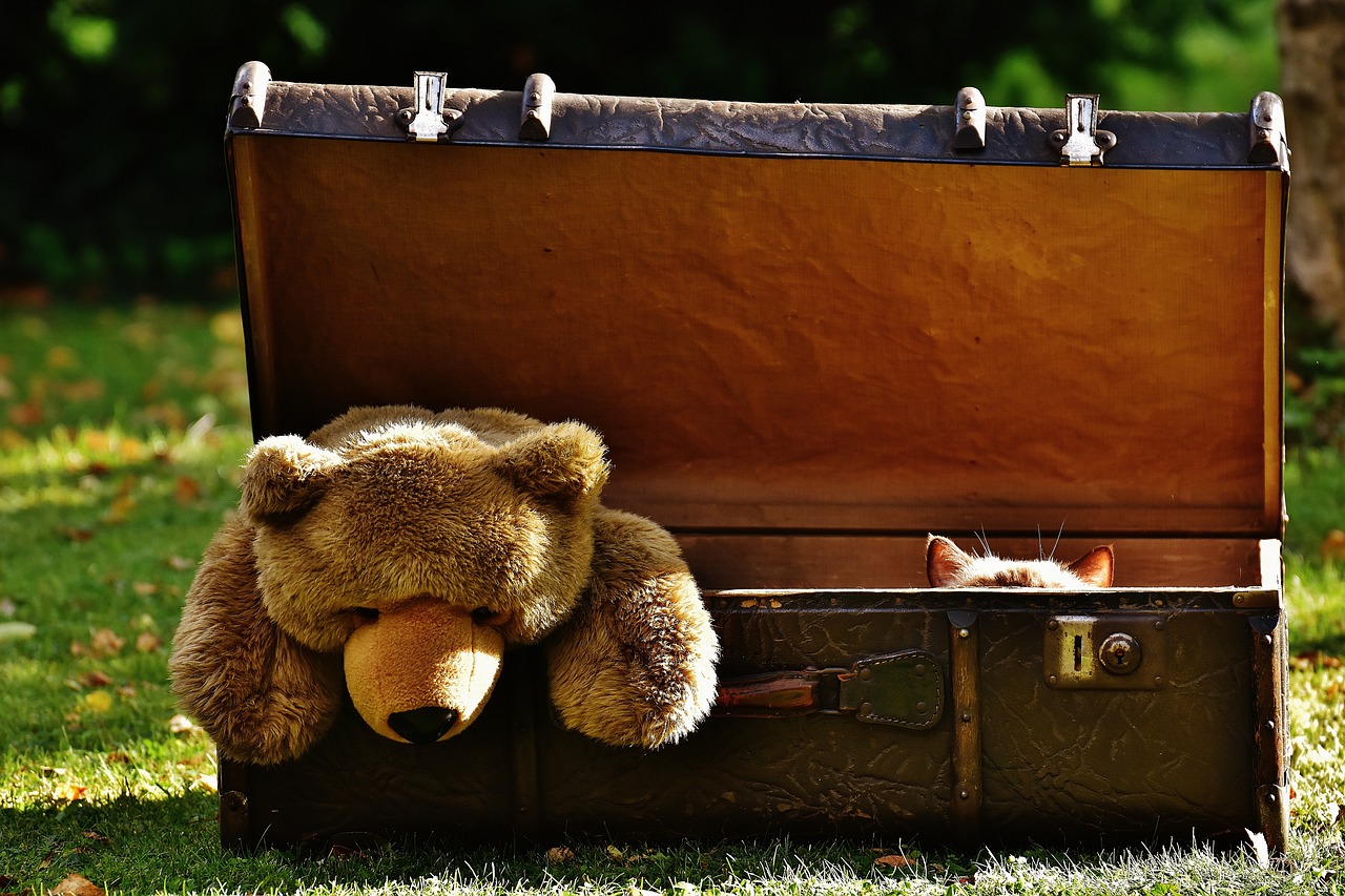 How to Use Hidden Storage Solutions in Compact Spaces